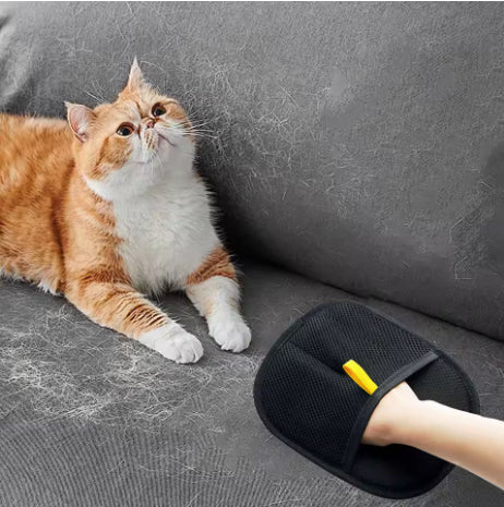 Fur Remover Glove